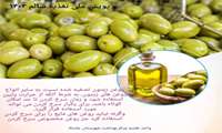 پویش ملی تغذیه 1403